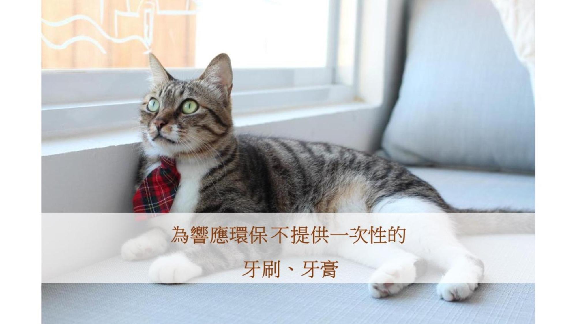 Cat At Greece Bed & Breakfast Nanwan Luaran gambar