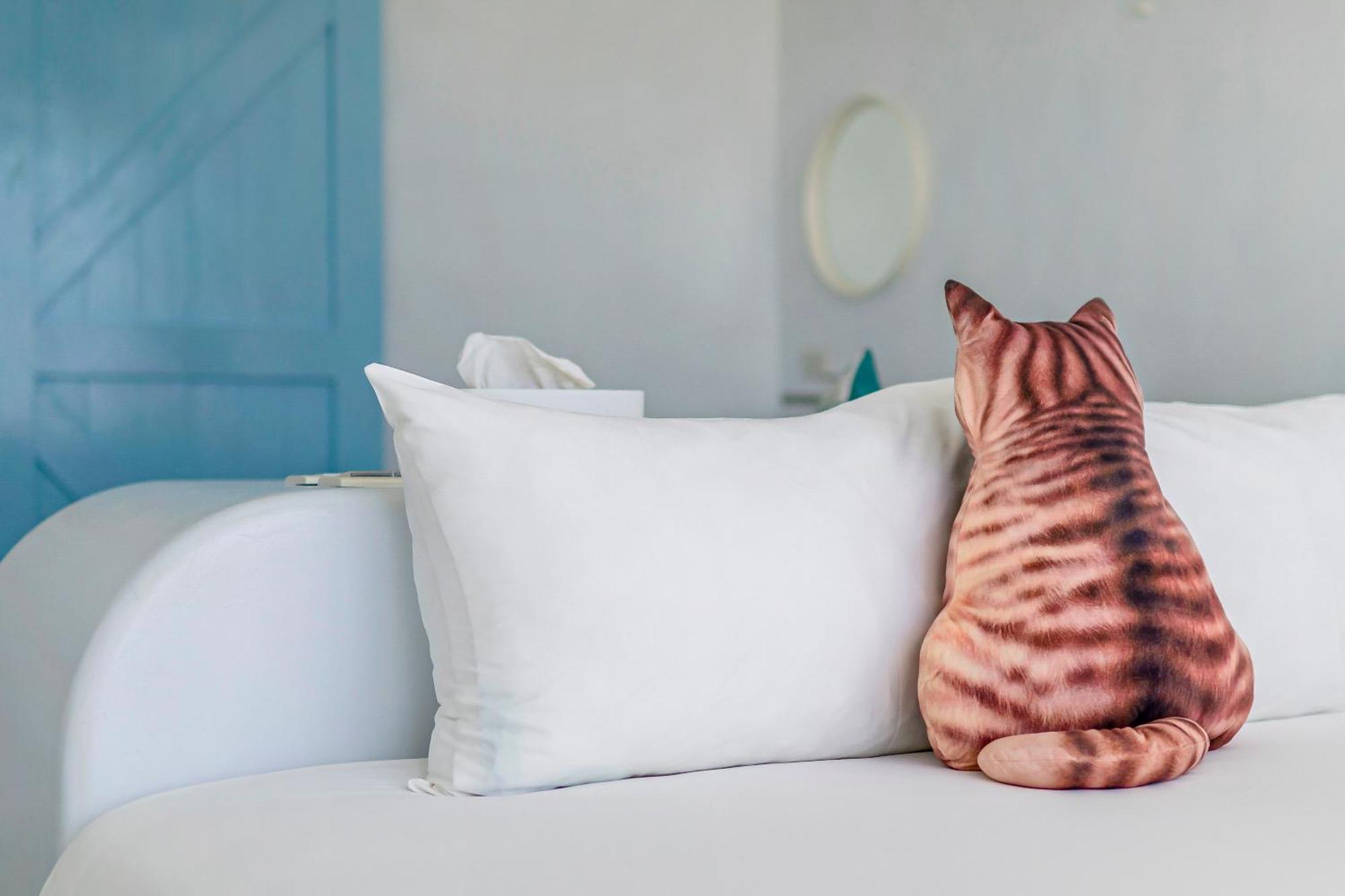 Cat At Greece Bed & Breakfast Nanwan Luaran gambar