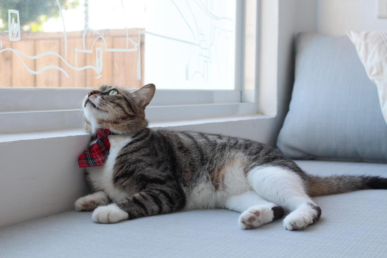 Cat At Greece Bed & Breakfast Nanwan Luaran gambar
