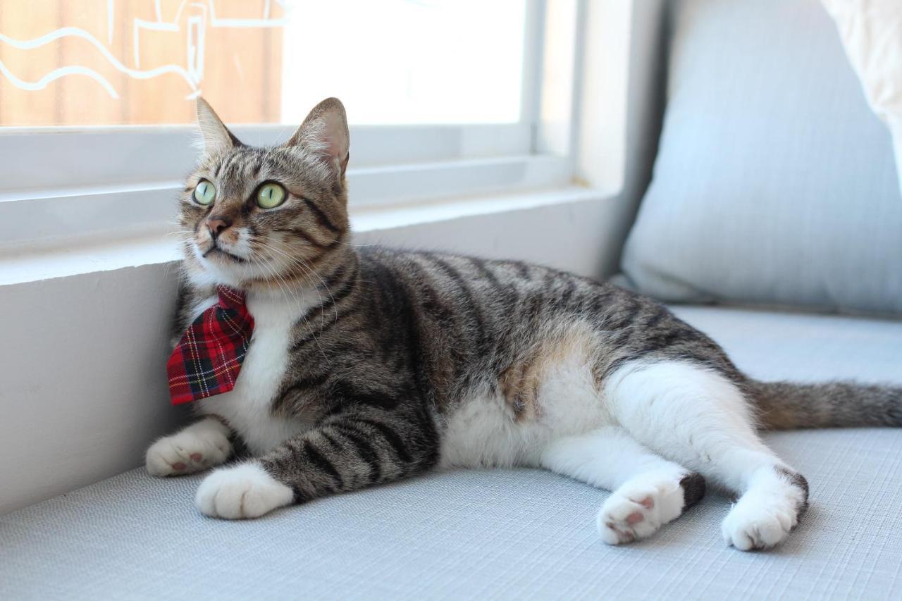 Cat At Greece Bed & Breakfast Nanwan Luaran gambar